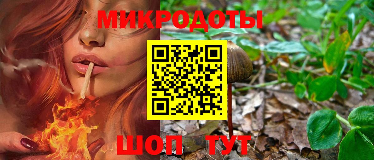 Псилоцибиновые грибы Cubensis Елизово